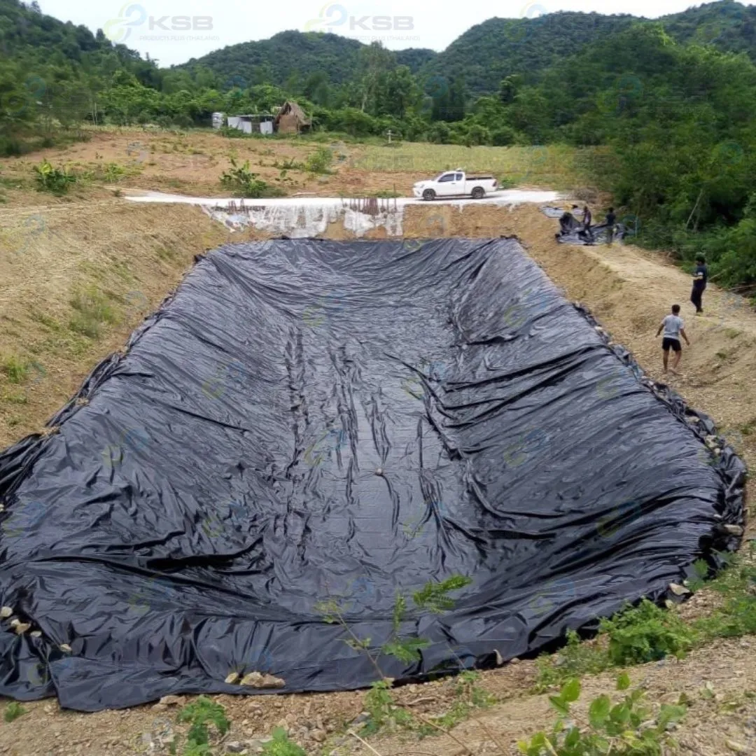 งานปูบ่อLDPE0