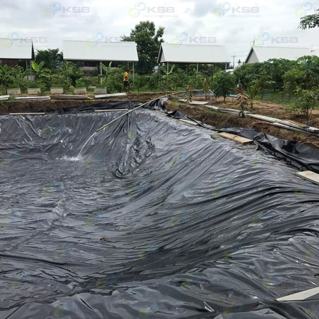 งานปูบ่อLDPE0