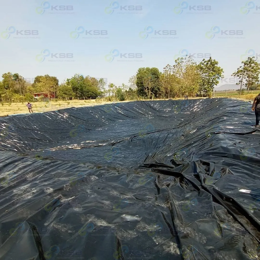 งานปูบ่อLDPE0