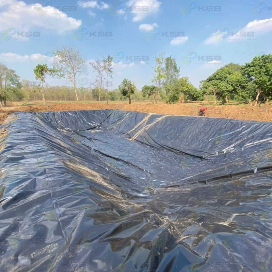 งานปูบ่อLDPE0