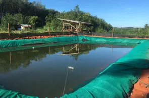 messageImage1729744594993