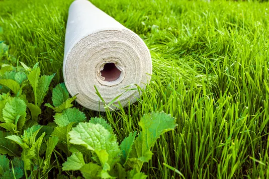 AdobeStock361330340