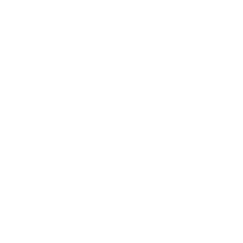 ic-yt02