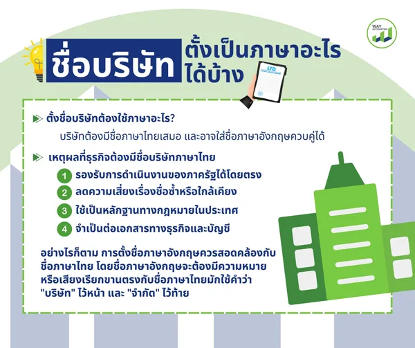 LINEALBUMc-202605255