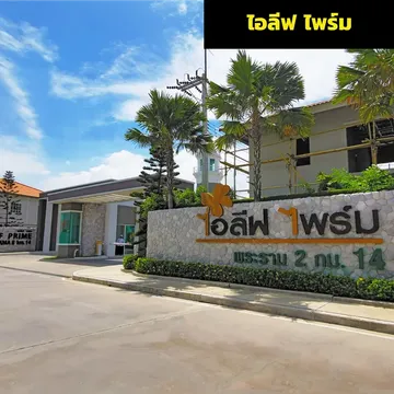 ไอลีฟไพร์ม