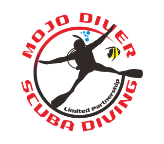 LOGO22