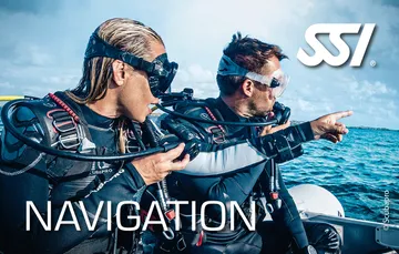 Navigation(1)