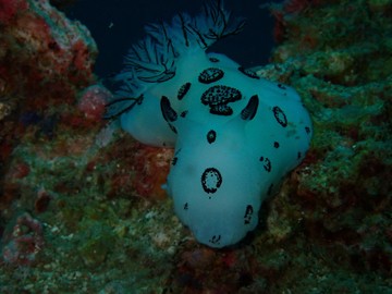 P3080323