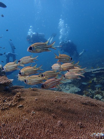 P3300163