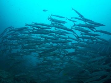 P4080036
