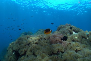 P4220232