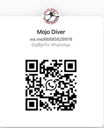 Whatsapp9978