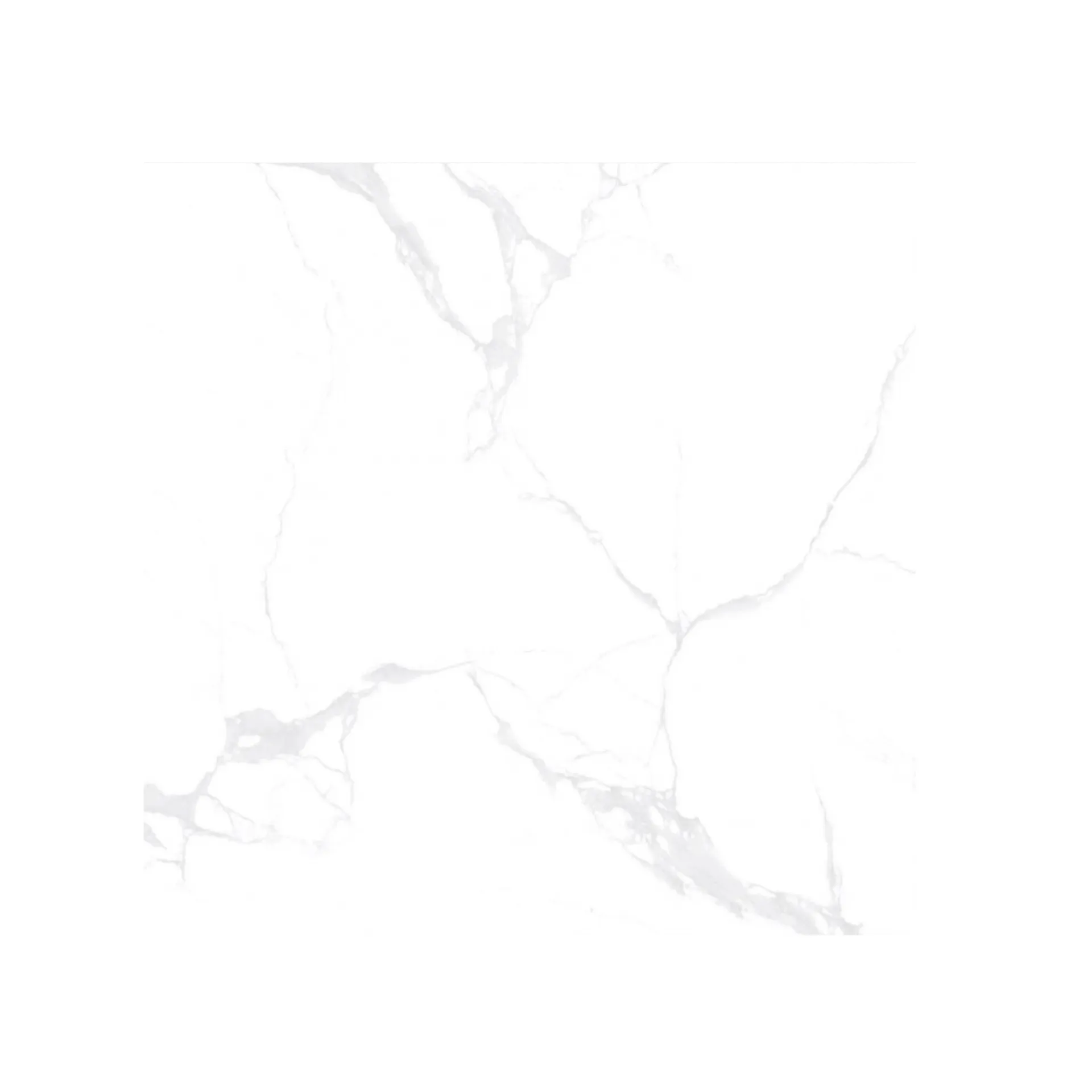 8852406755723-01