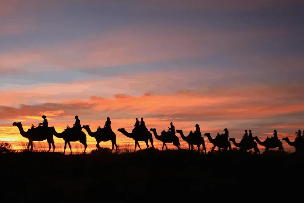 2-SUNRISE-CAMEL