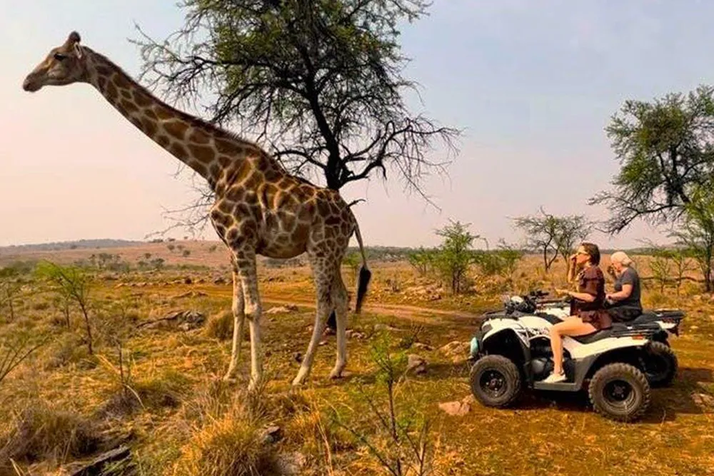 5-QUAD-BIKE-SAFARI