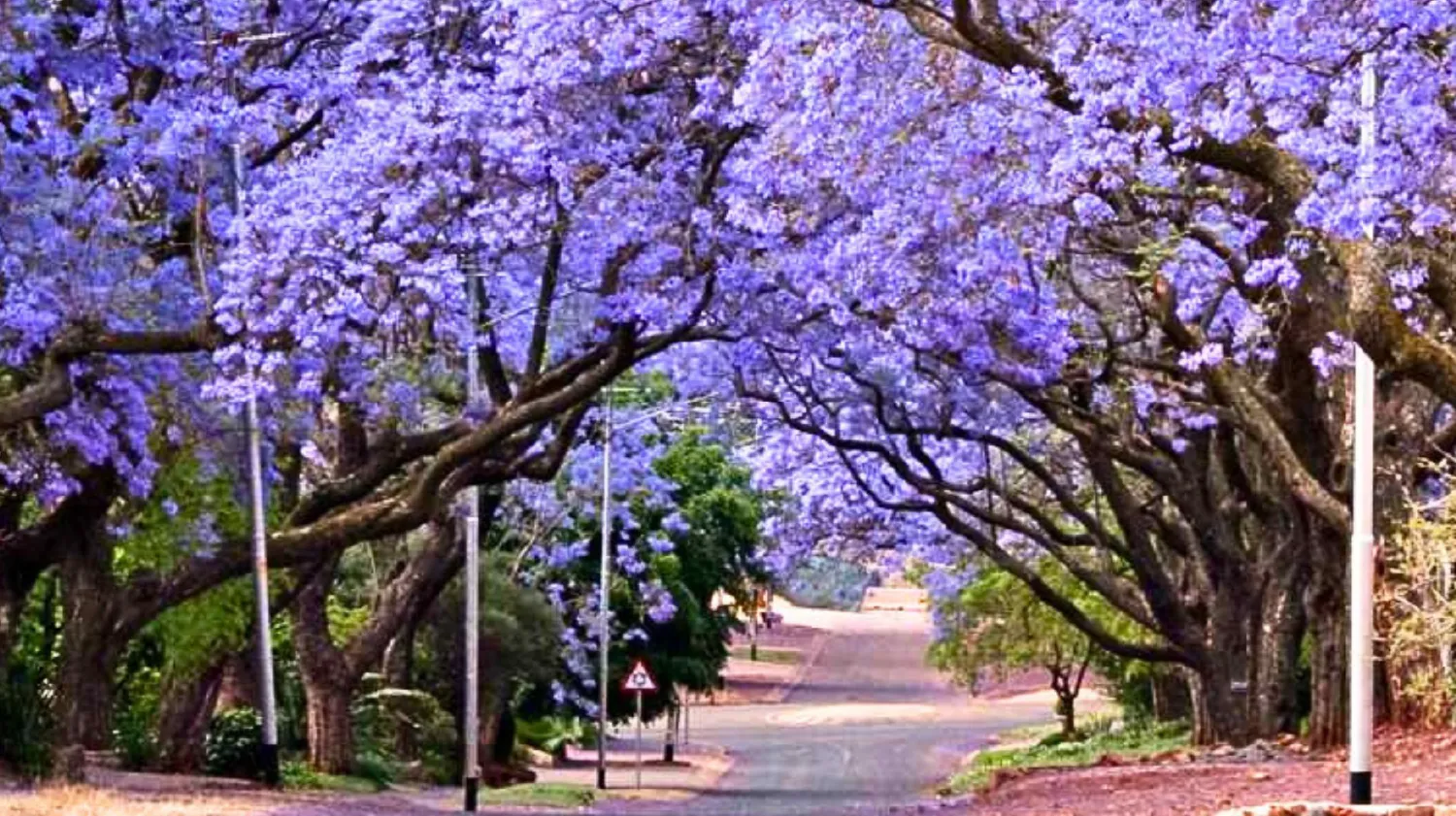 CHARMING-SOUTH
