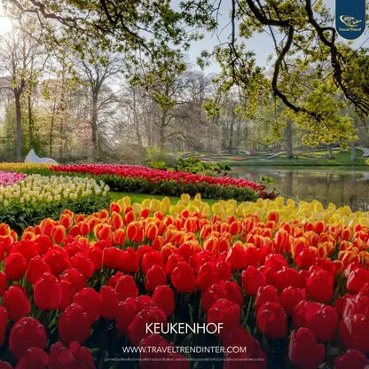NETHERLANDS BEAUTIFUL A JOURNEY (4)
