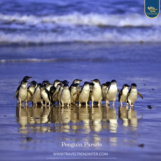 PenguinParade