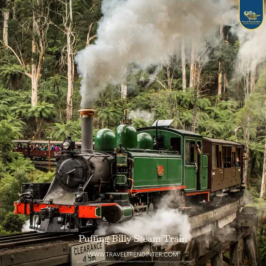 PuffingBillySteamTrain