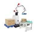 30KG Cobot palletizer
