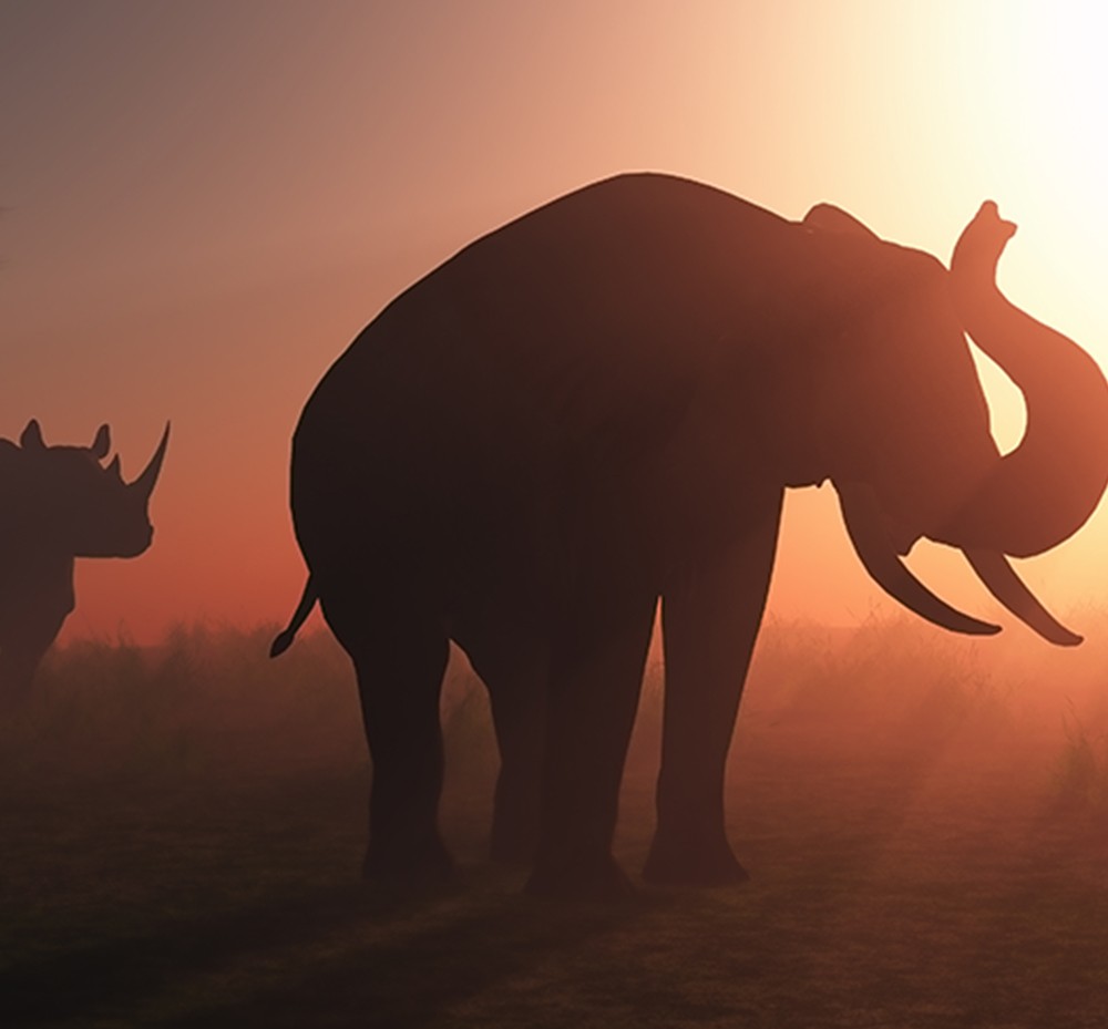 Africa