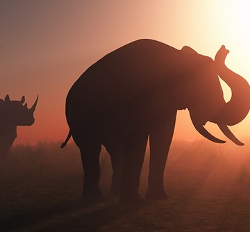 Africa