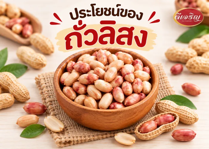 ถั่วลิสง1
