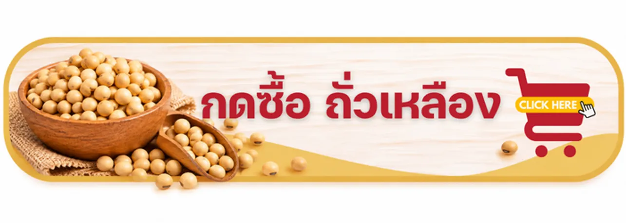 กดซื้อ ถั่วเหลือง
