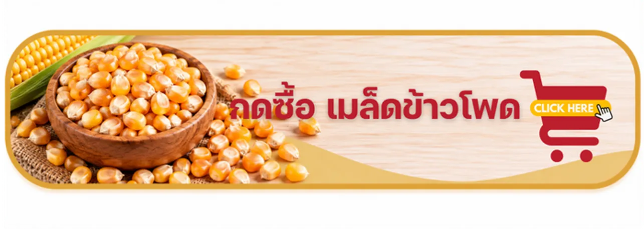กดซื้อเมล็ดข้าวโพด