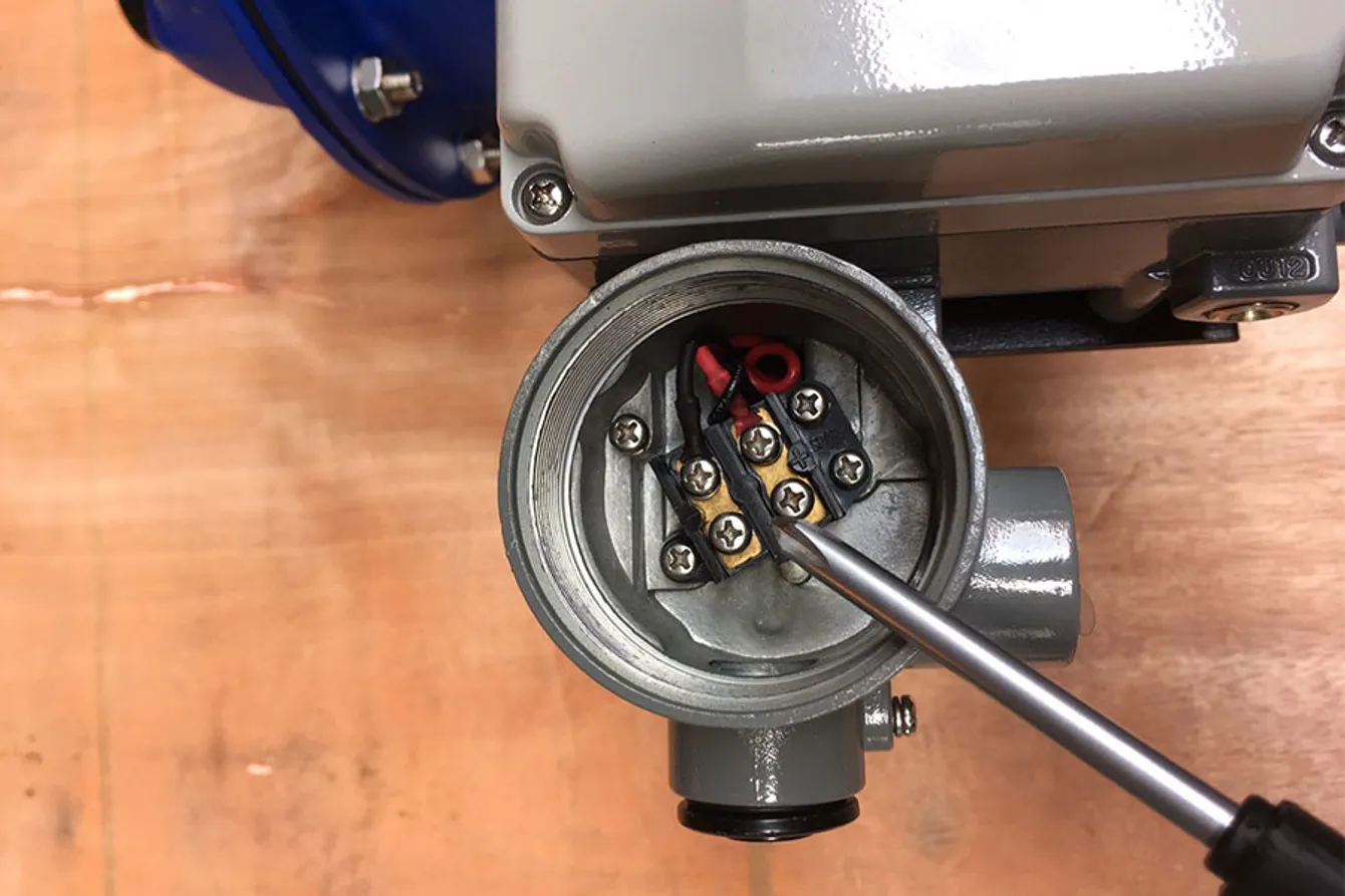 YT1000-L-(9)