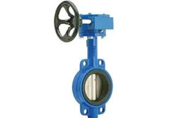 ButterflyValve(3)