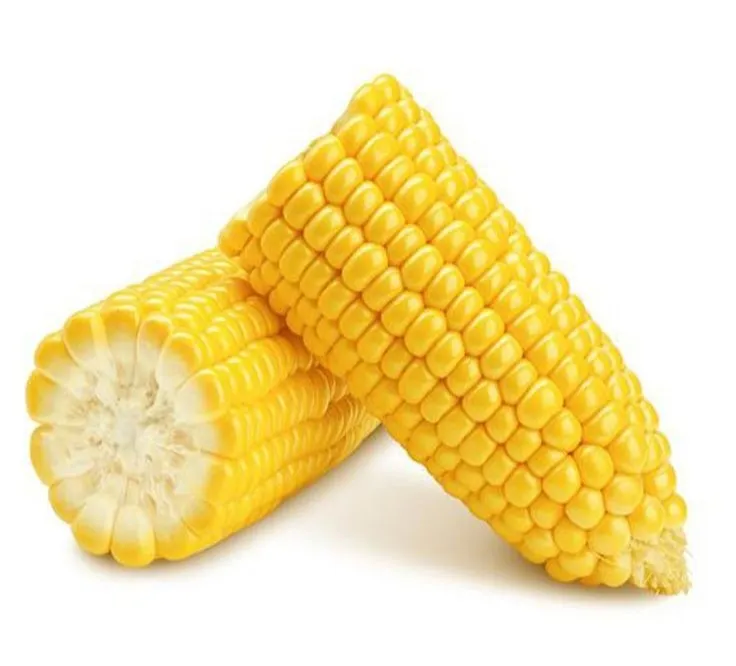 613b1315e3d0e6352e504086e659ca80