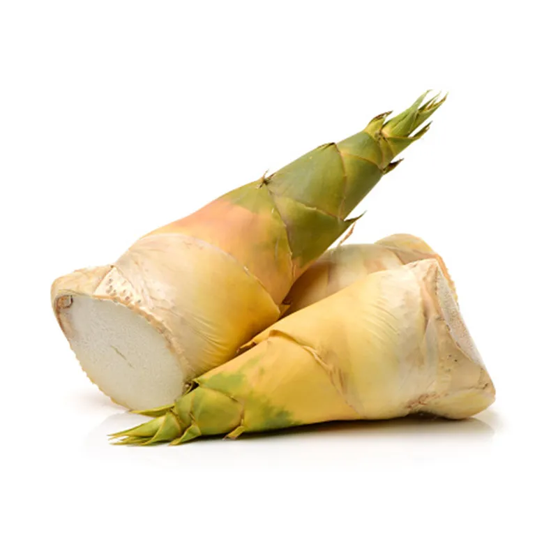 bambooshoot1