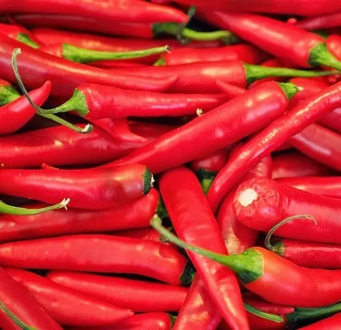 chili1