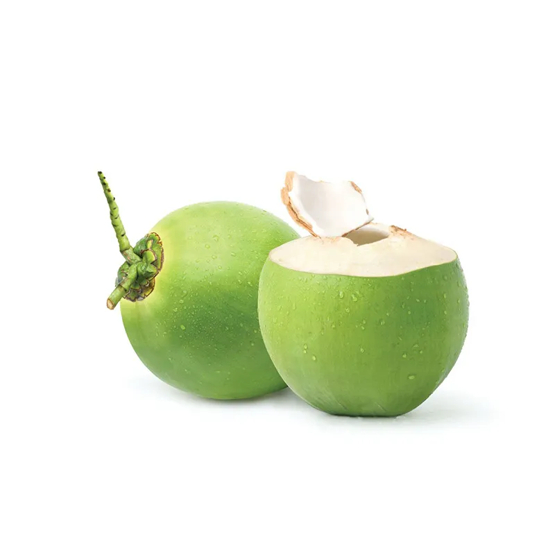 coconut