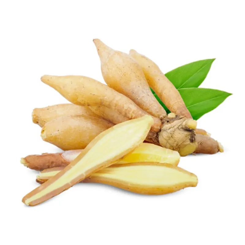 fingerroot1