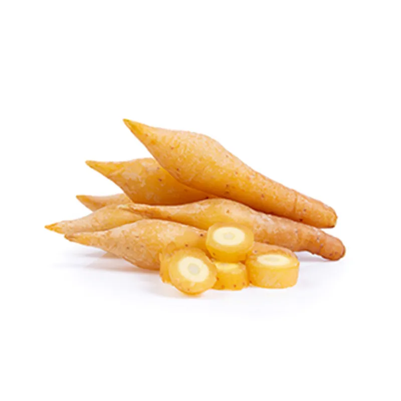 fingerroot