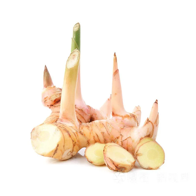 galangal1