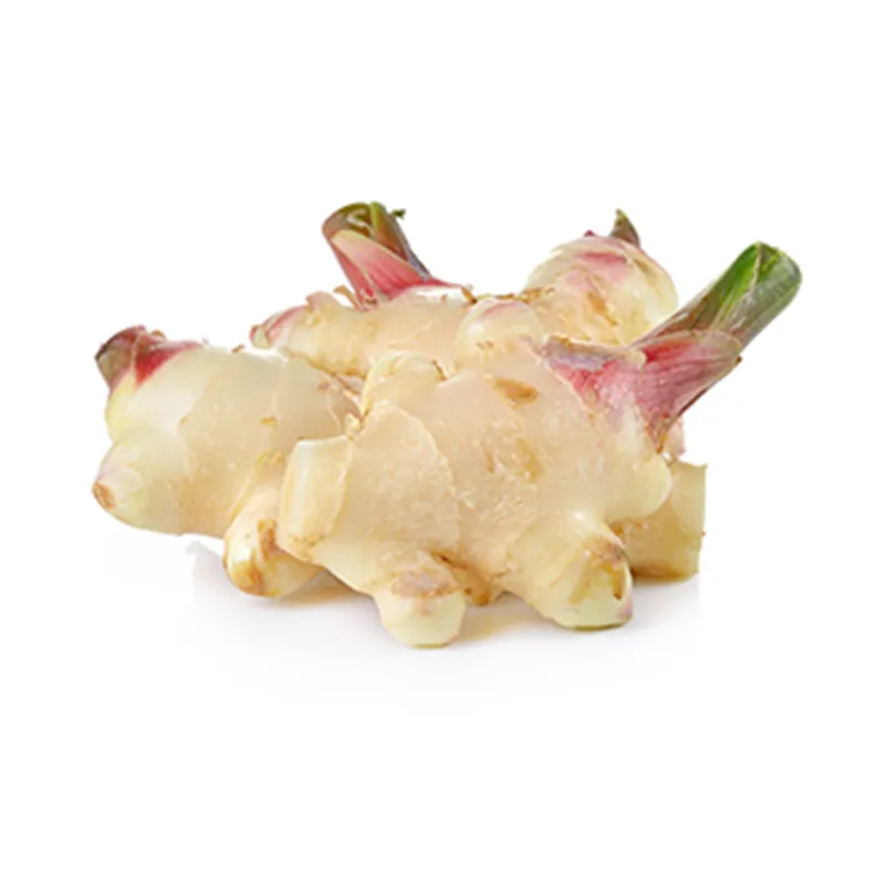 galangal