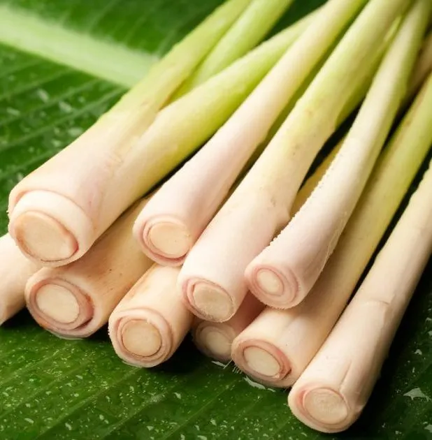 lemongrass©iStock(1)-Copy1