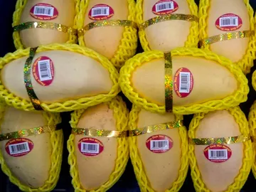 Nam-dok-mai-mango-export
