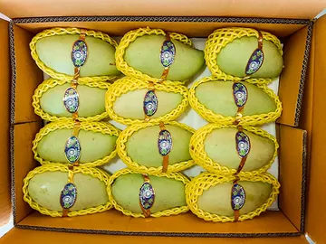 green-Nam-dok-mai-mango-export