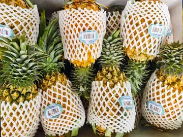pineapple-export