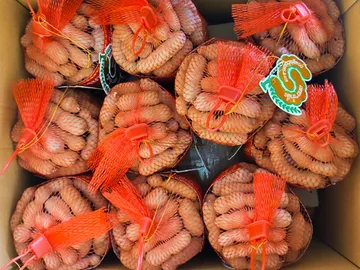sweet-tamarind-export