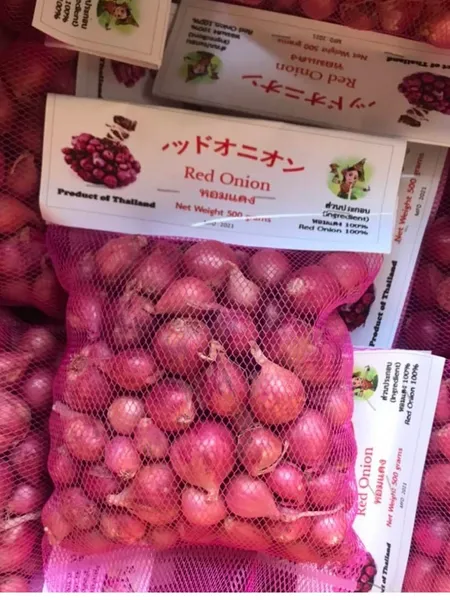 Shallot500g