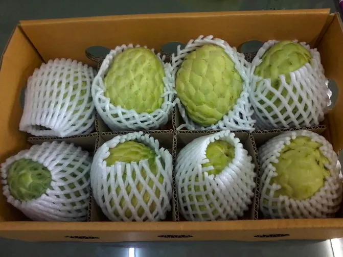 Sugar-apple-export