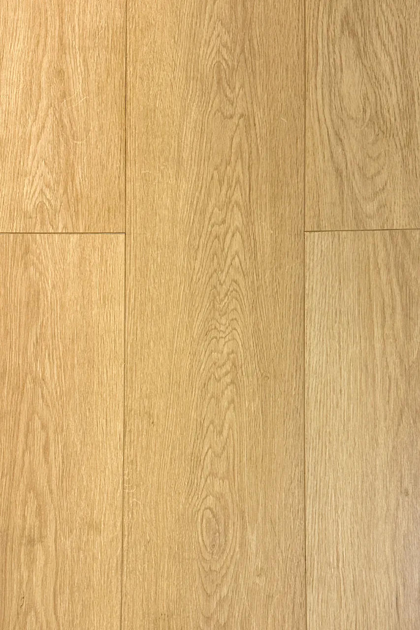 D9778(853x1280px)