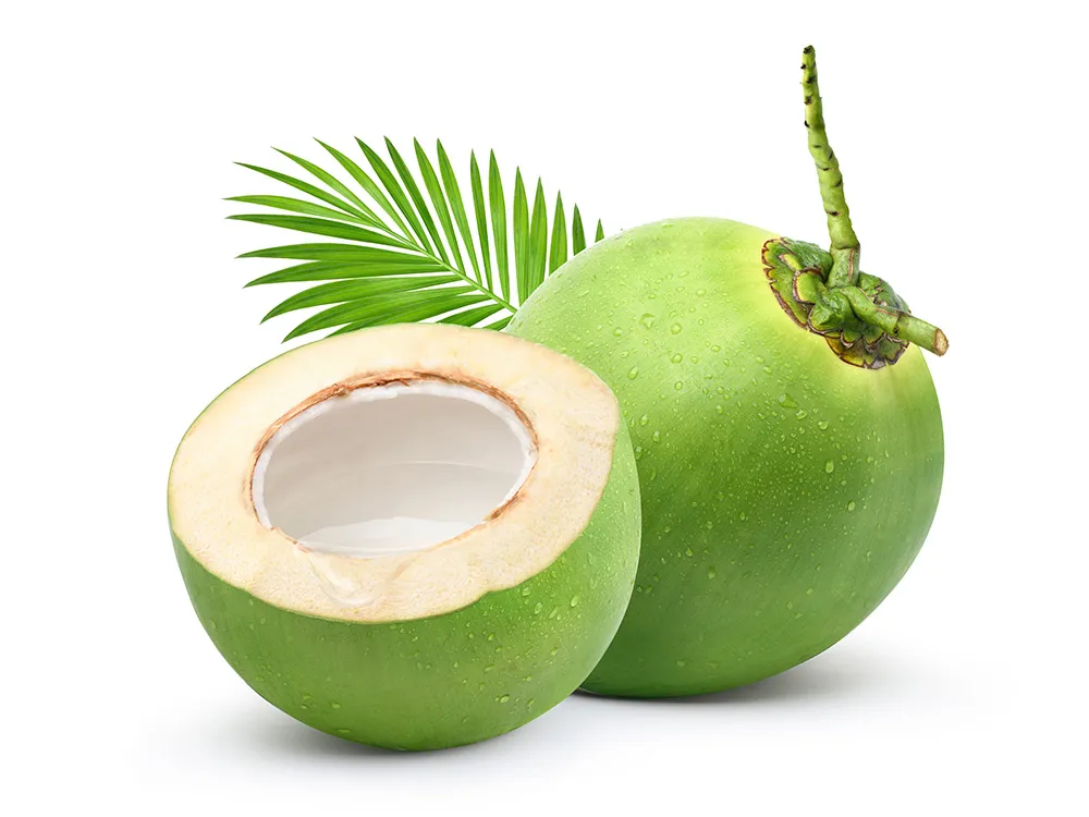 Frozen-Coconut