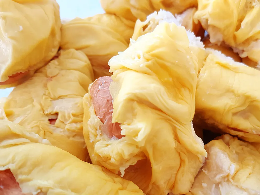 Frozen-Durian-Paste