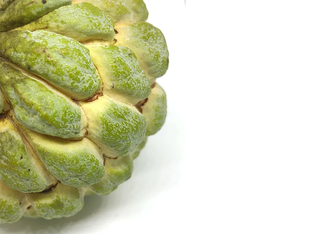 Frozen-Sugar-Apple